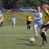 bornaer sv 91 gegen ffv4 22.05.2016  4